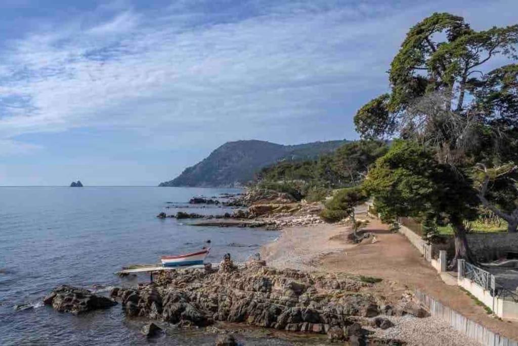 Appartamento Le Criotto La Seyne-sur-Mer Esterno foto